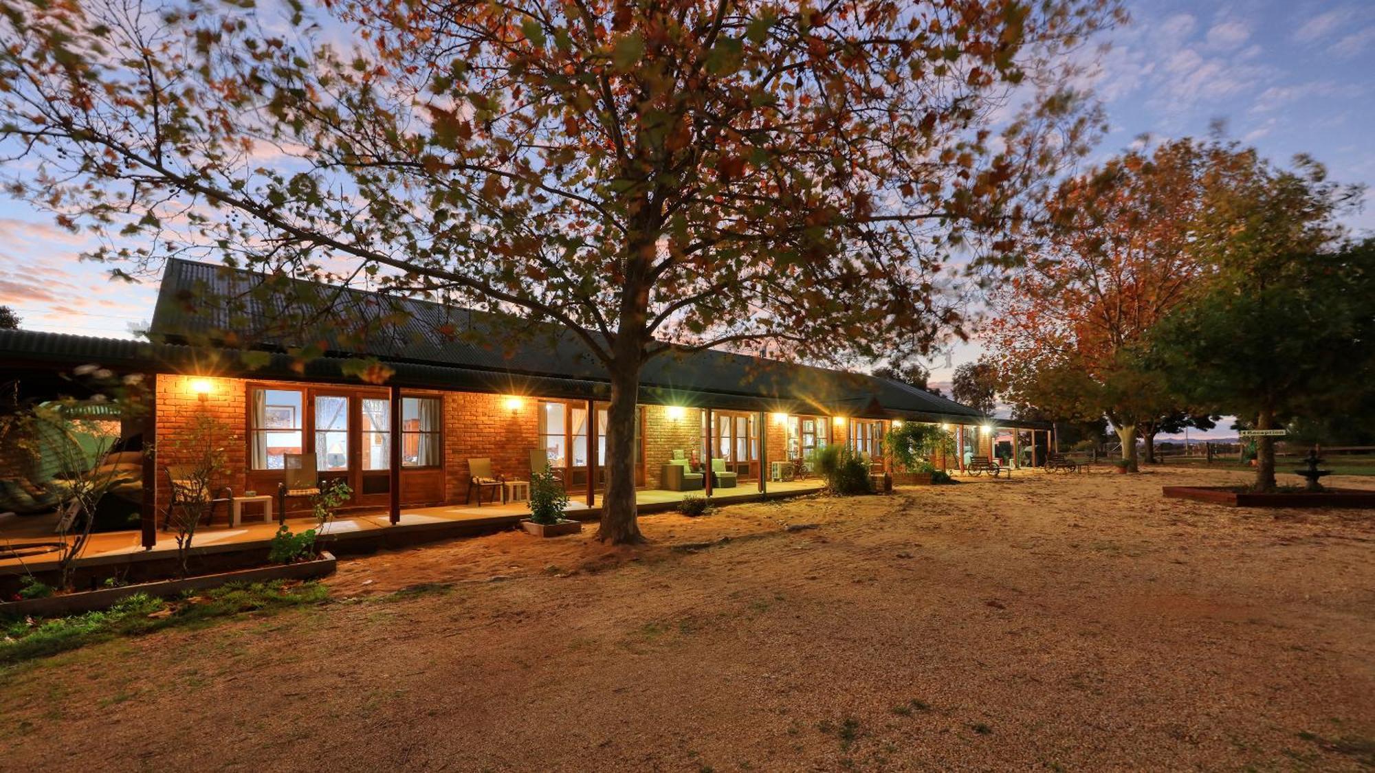 The Vineyard Motel Cowra Exterior foto